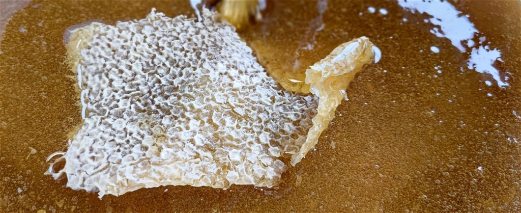 Cire d'abeilles BIO pure