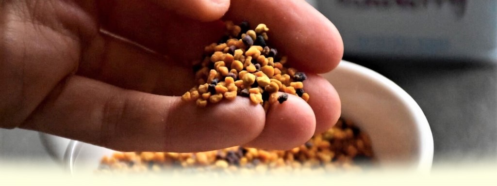 Pollen cru BIO