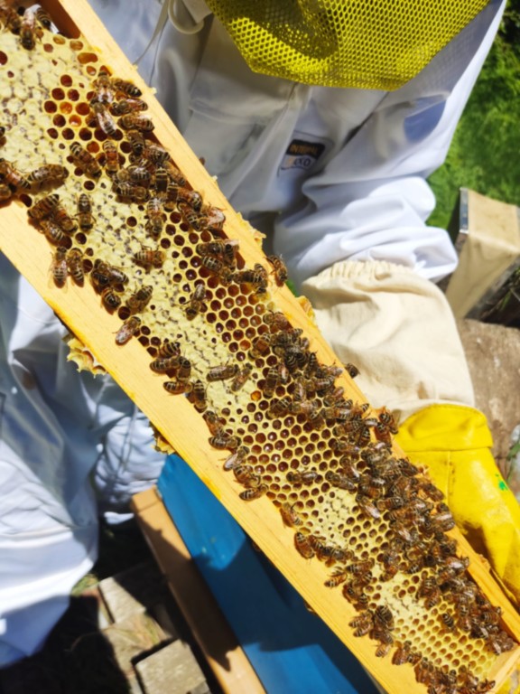 Cirage bio a la cire d'abeilles