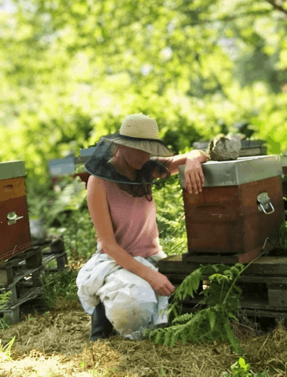 acheter miel bio direct producteur