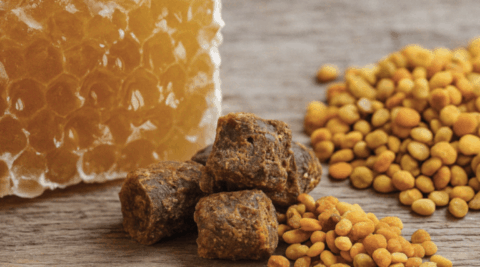 Propolis bio direct apicultrice