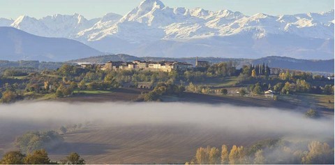 Stage apiculture france