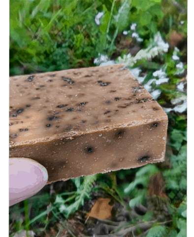 savon a la propolis