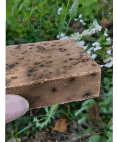 Savon propolis bio